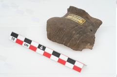 Foto von Keramikgefäß (NHMW-PRAE-002237a)